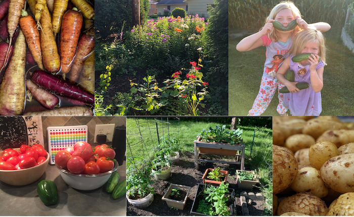 Collage of home gardens and produce