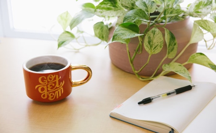 Plant, cup of coffee and journal on a table