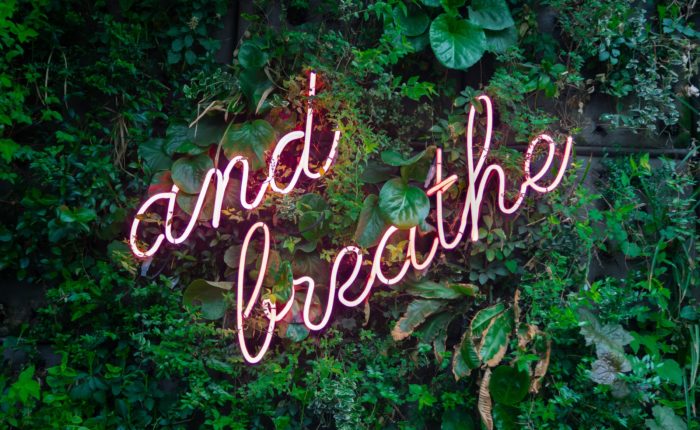 neon sign that says "and breathe" placed in greenery