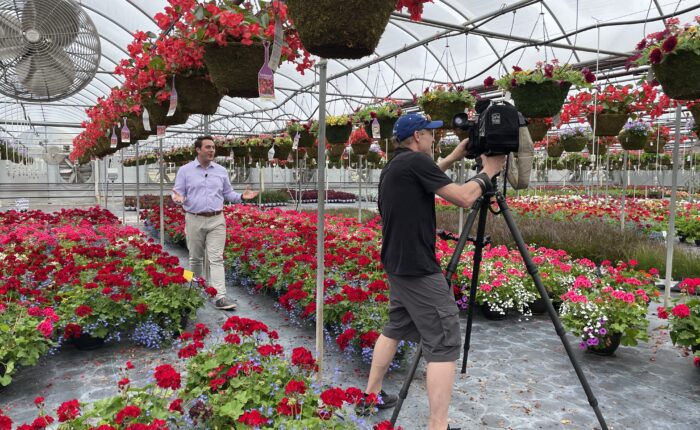 A reporter and camera person in a flower greenhouse