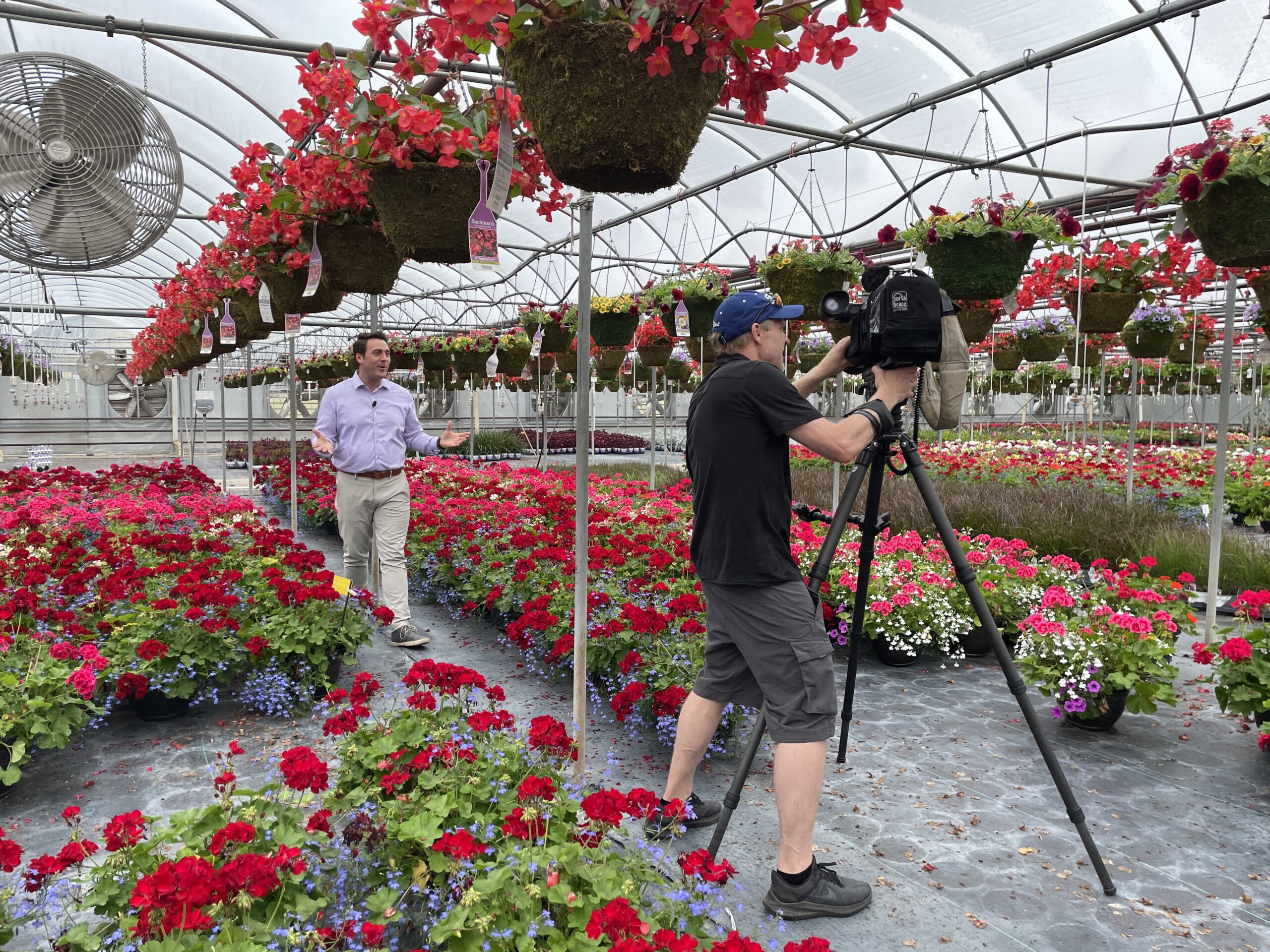 A reporter and camera person in a flower greenhouse