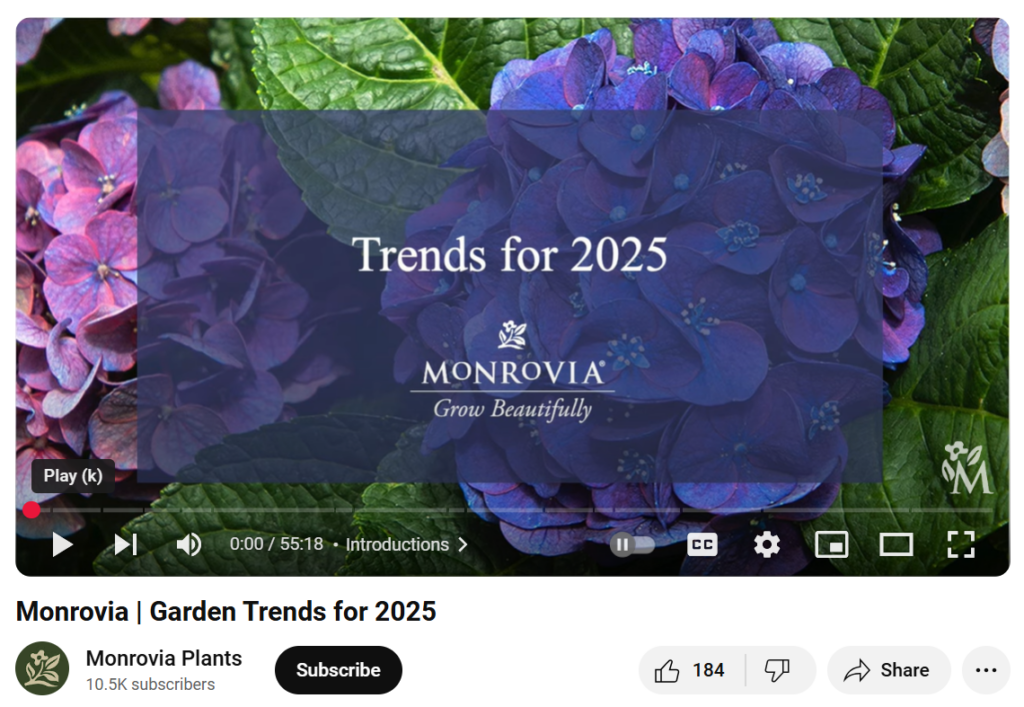 Monrovia trends 1